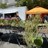 とても久しぶりのFarmer's Market at Civic Center