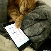 中古スマホのバッテリー劣化具合