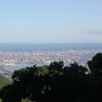 金甲山からの眺め