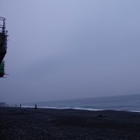 2025/06/10　火　国府津海岸
