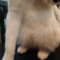 ここが。。