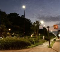 今日いち-2025年6月28日