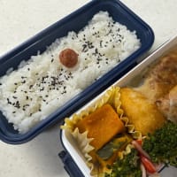6月16日のお弁当