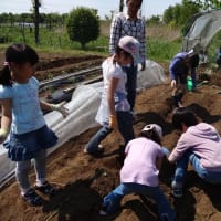 13,5,4 ヨモギパン・生き物自然観察