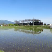 日本に一時帰国　美しい景色とSL撮り鉄