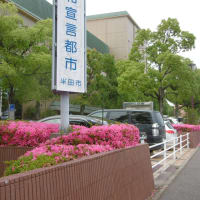 ～～★≪　サツキ・らんまん「市の文化会館通り)　≫★～～