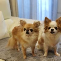 春恒例の病院day 2025