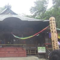 ぐるパス散歩　神代植物公園　眼科通院眼科通院