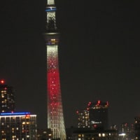 日向坂46の虹開催記念特別ライティング28