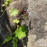 山頂で伝えましょう♡