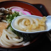 ビックうどん土佐山田店へ行きまっせ