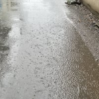 荒梅雨