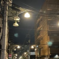 薬屋のひとりごと　シーズン2