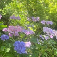 ある時代との対話②