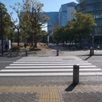 １月のお台場：船の科学館敷地前からウエストプロムナード散策道・南端部内へ　ＰＡＲＴ１