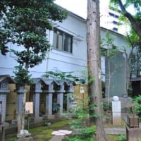 朝の散歩　板橋熊野神社に茅の輪　　　20