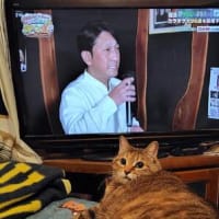近年稀にみる不整合(；ﾟДﾟ)