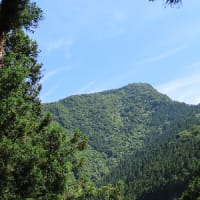 イソツネ山（多摩百８６）