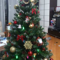 Ｍｅｒｒｙ　Ｃｈｒｉｓｔｍａｓ☆