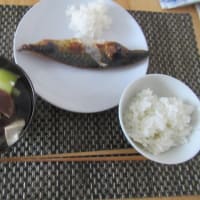 夫不在中のでき事と、一人ご飯。家庭菜園の厳しさ。