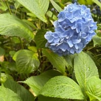 人は溢れると言葉にならない