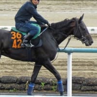 【ブルータス】最終追い切りやや不安！？ 6/28福島12R・出走確定