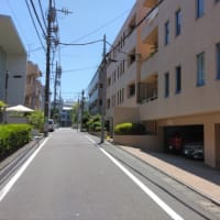 偲草 十二代目片岡仁左衛門　昭和21年