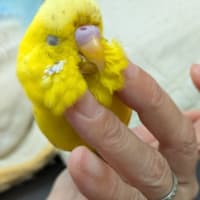 三重出張のお土産