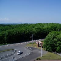 BB佐田隠し子で批判殺到&金子恵,実,夫の不倫追及の上路に消えて&201906胆振地震北海道旅行。釧路の和商市場で刺身、湿原展望台へ・・&大谷,ヌートバーと対戦&プーさんにハイジが映画で!?