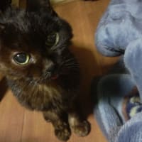 サキのこと14