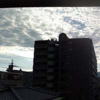 2025年6月29日（日）晴。