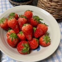 5月18日とチダイの塩焼き