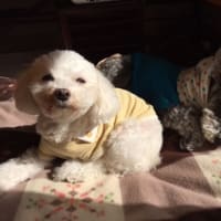1月は行って、2月は逃げて、3月は去って、4月来たる！！
