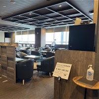 BIZCORT CABIN