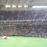 2012日本シリーズ 第2戦