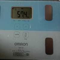 ダイエット336日目