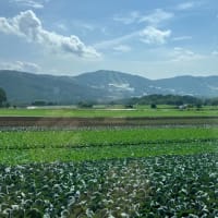 菅平にてラグビー