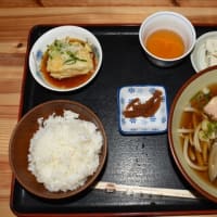 日本古来在来種そば（10割そば）「本陣そば定食」宮崎県東臼杵郡椎葉村