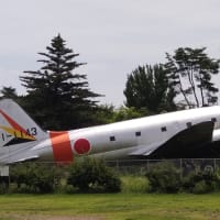 所沢航空記念公園