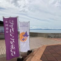 青い桜