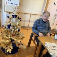 「クリスマスに向けて…🌲」