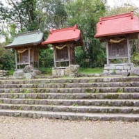 愛媛県東温市、北方「揚（あがり）神社のクスノキ」（市指定）です！！