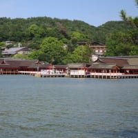 2025年6月　6回目の宮島弥山トレッキング(博打尾・大元公園コース)は真夏でした。