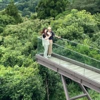 竹林庵 みずの（網代温泉）2024年7月　初訪その②