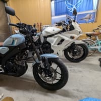 今年も終わりだねっていうか、増車したぞの巻