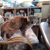 実家別荘②