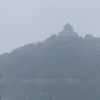 雪の犬山城