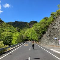しま山100選　38/100   星ヶ城山（小豆島）