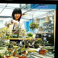 NHK BSプレミアム 美の壺に出させていただきました。