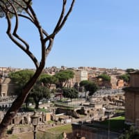 古代ローマ時代の遺跡「Foro Romano（フォロ・ロマーノ）」を歩く